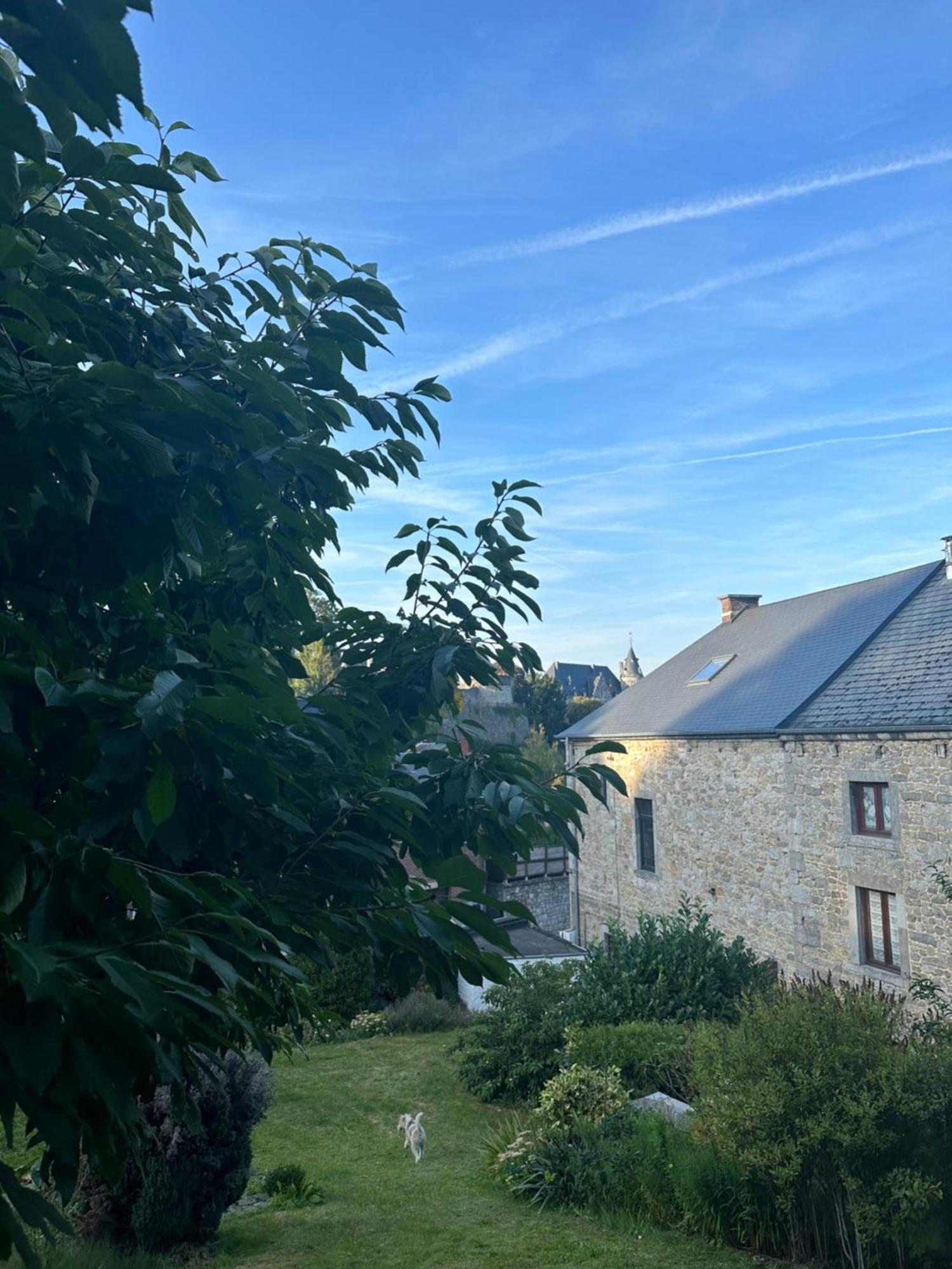 Maison Comtale Rochefort Kültér fotó