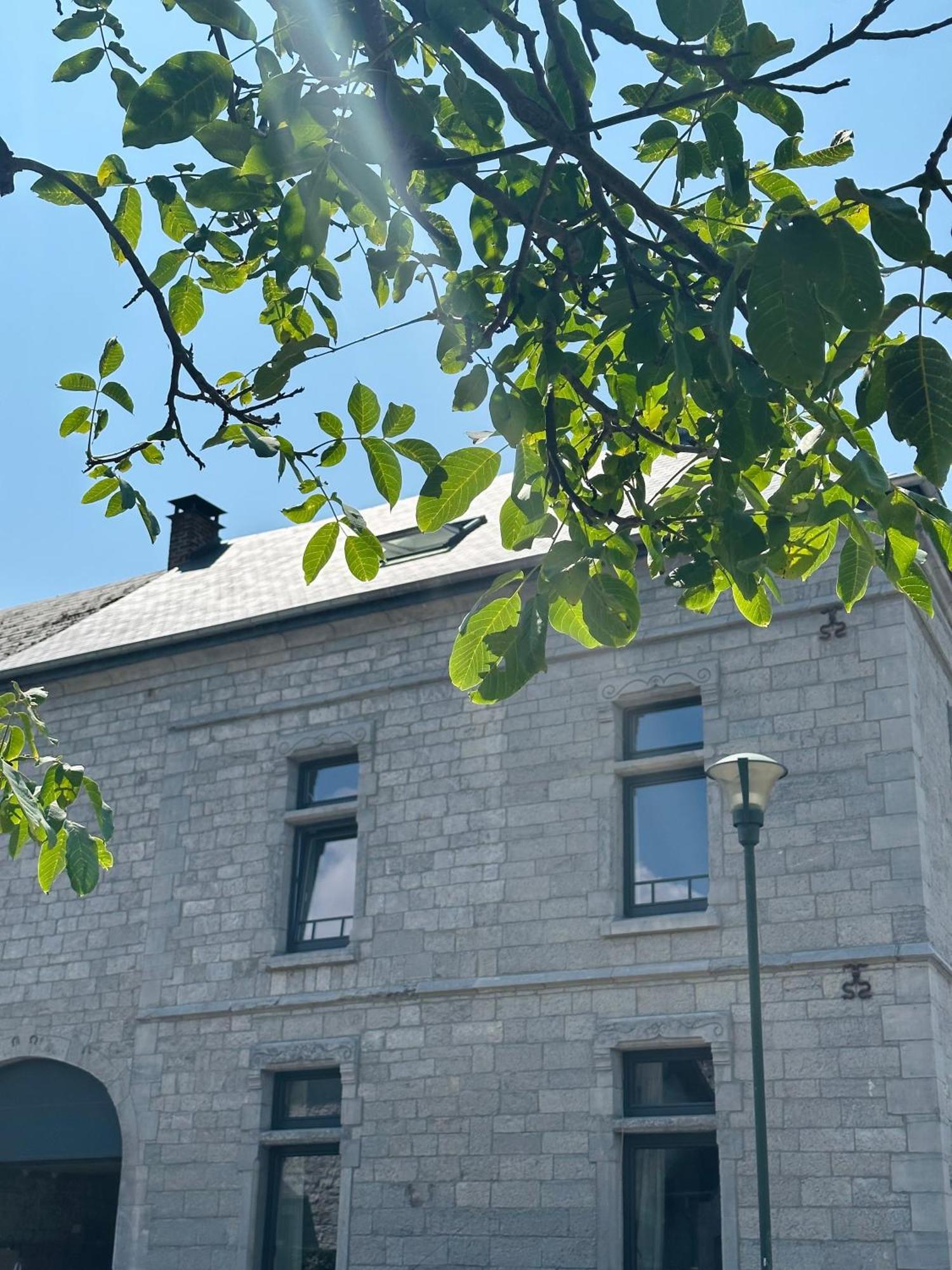 Maison Comtale Rochefort Kültér fotó